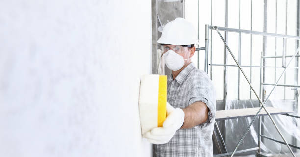 Reliable Donna, TX Mold Removal Services Solutions